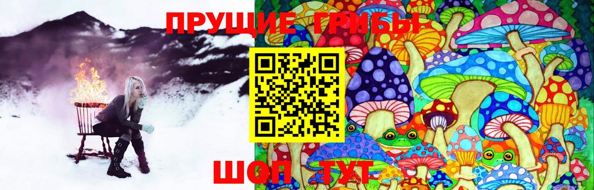 Севастополь  Псилоцибиновые грибы ЛСД  Вход с VPN 
