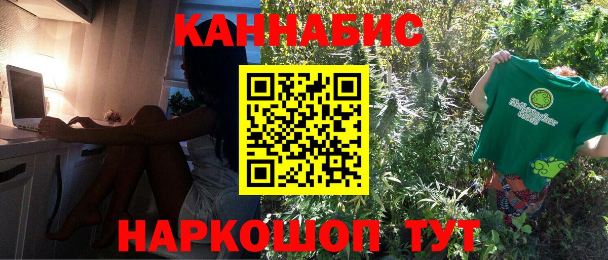 Каннабис OG Kush Севастополь